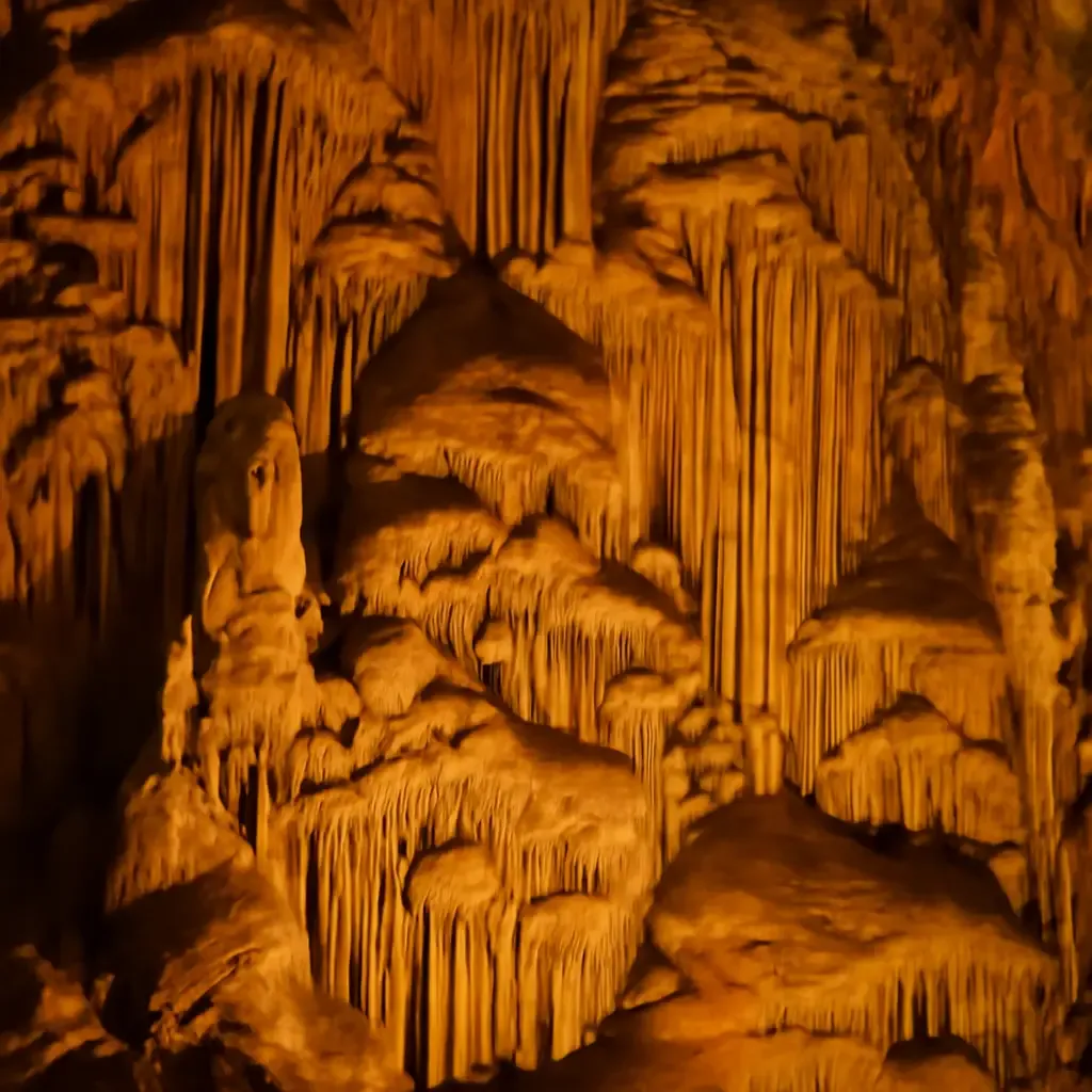 Cuevas del canelobre - De kathedraalzaal: een natuurlijk meesterwerk