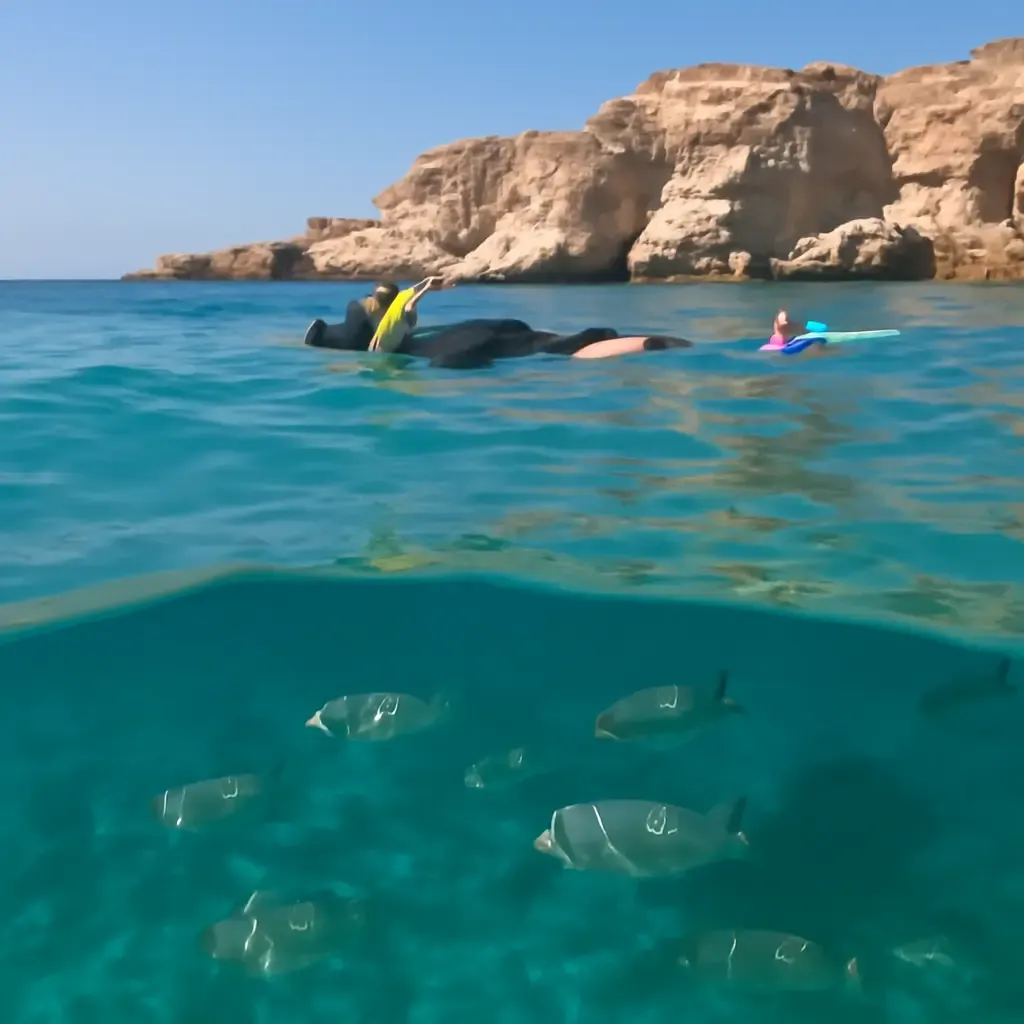 Duiken tabarca - Snorkelen bij Tabarca